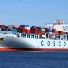 青岛忠进货运代理公司 专业引领，高效承载全球贸易